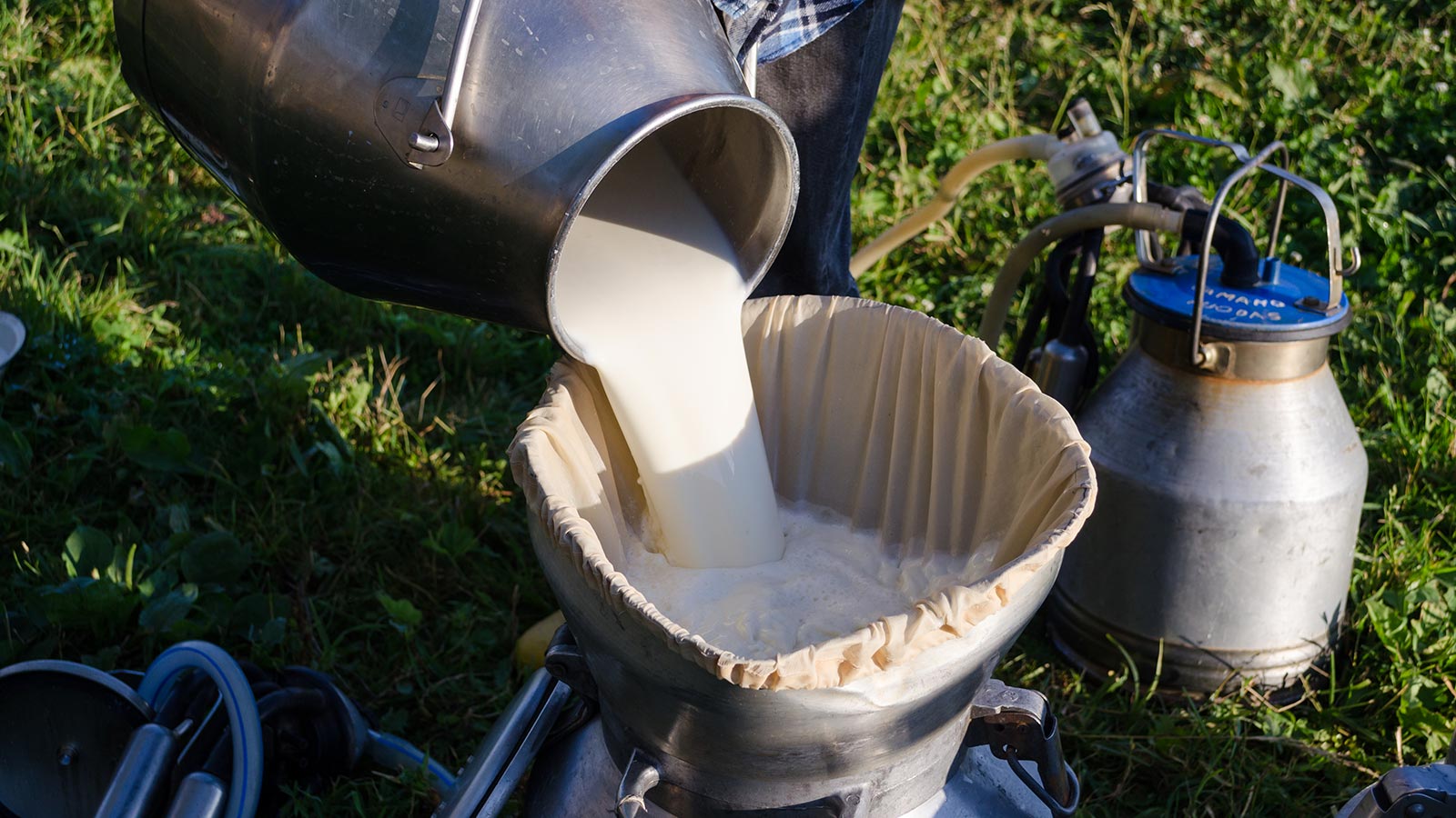 ¿Qué es la leche cruda?